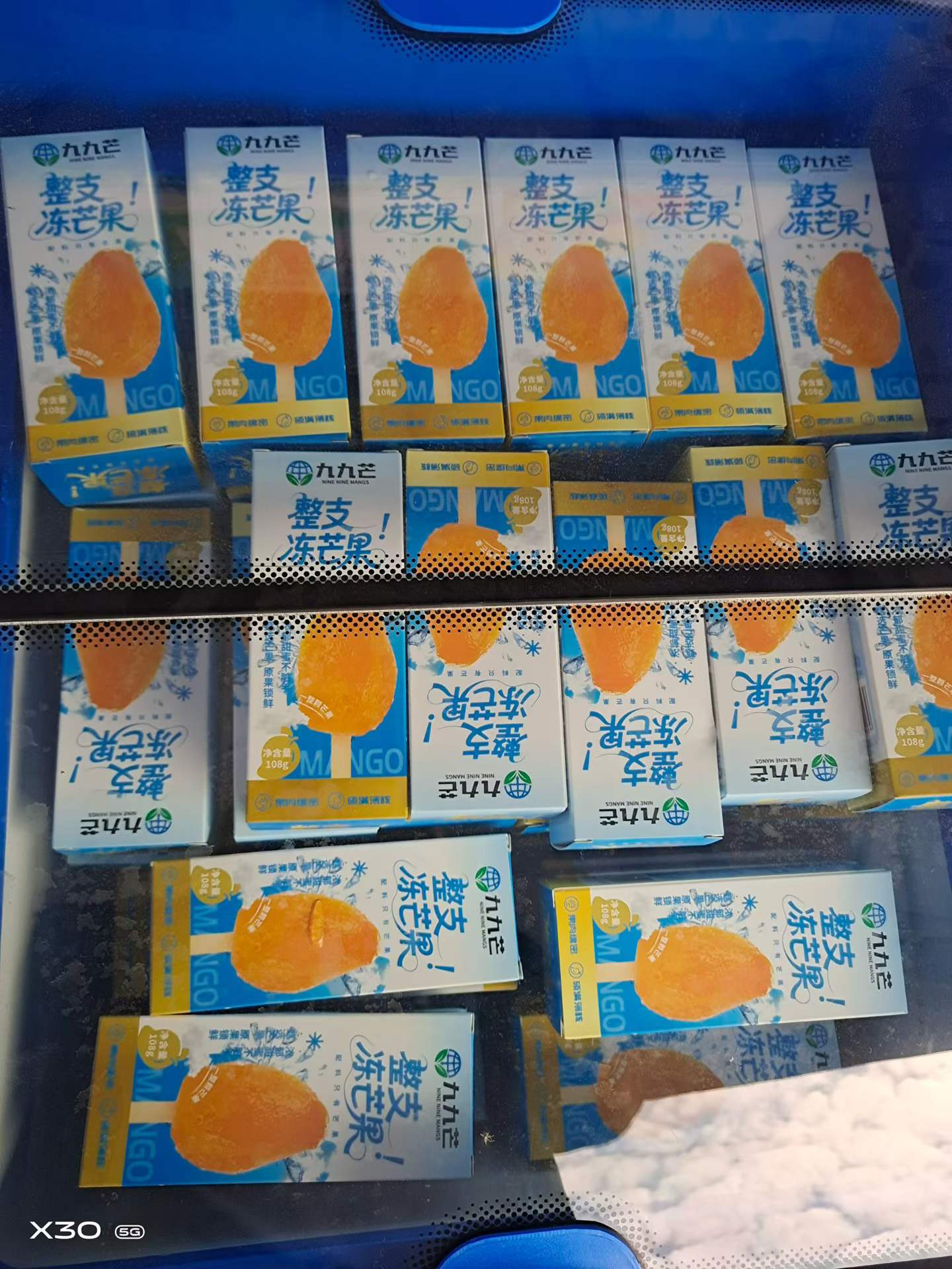 百色台农芒果